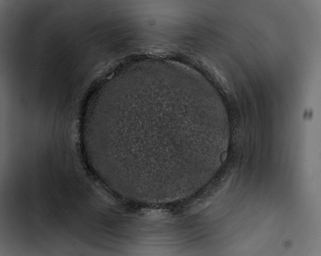 X0000102830689200809021314