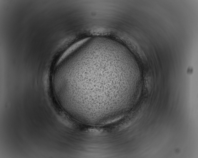 X0000102830690200809021314