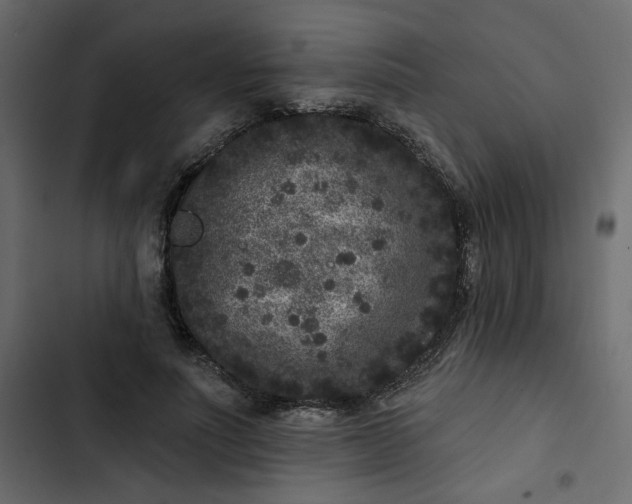 X0000102830691200809021314