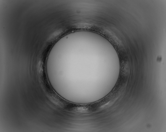 X0000102830692200809021314