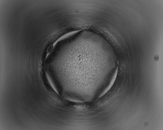 X0000102830693200809021314