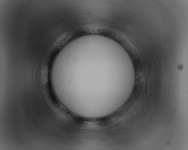 X0000102830694200809021314