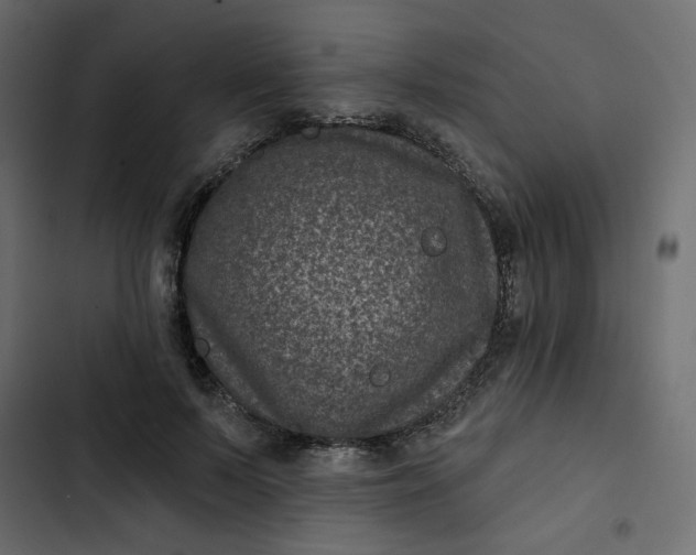 X0000102830695200809021314