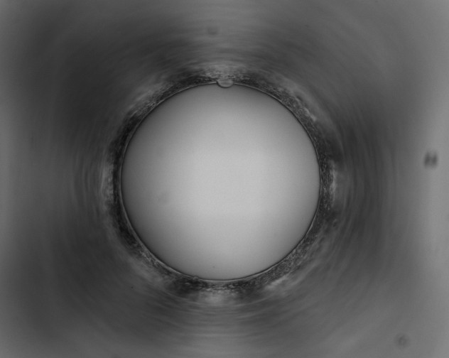 X0000102830696200809021314