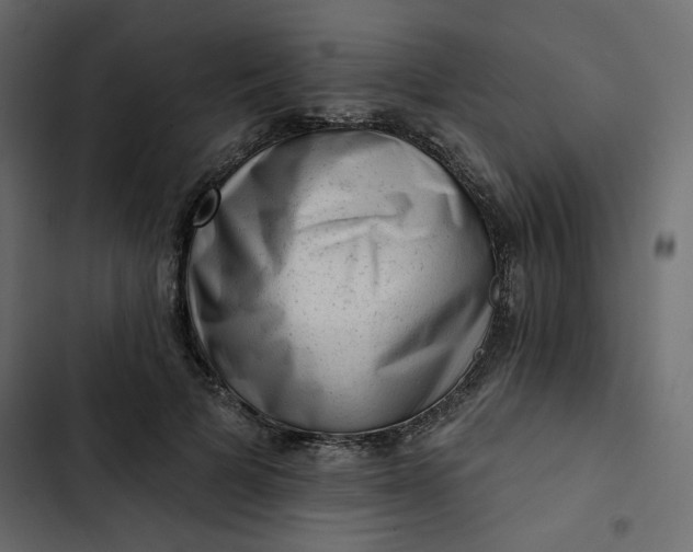 X0000102830697200809021314