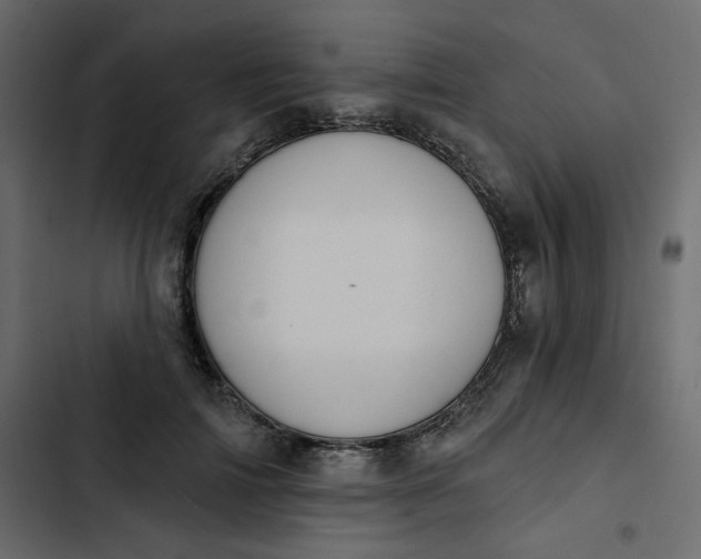 X0000102830698200809021314