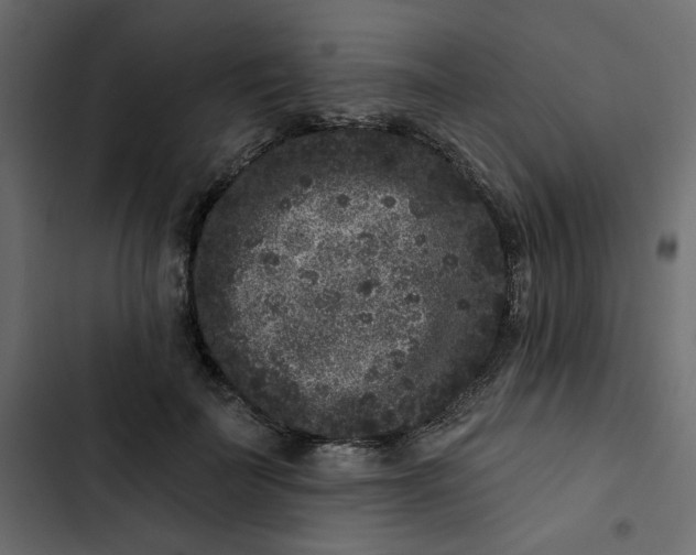 X0000102830699200809021314