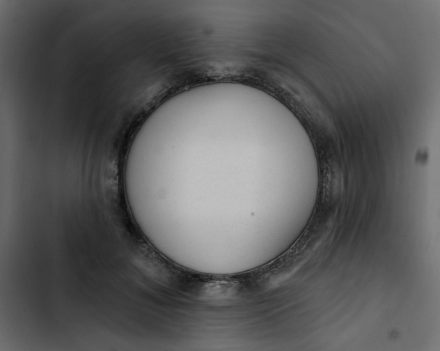 X0000102830700200809021314