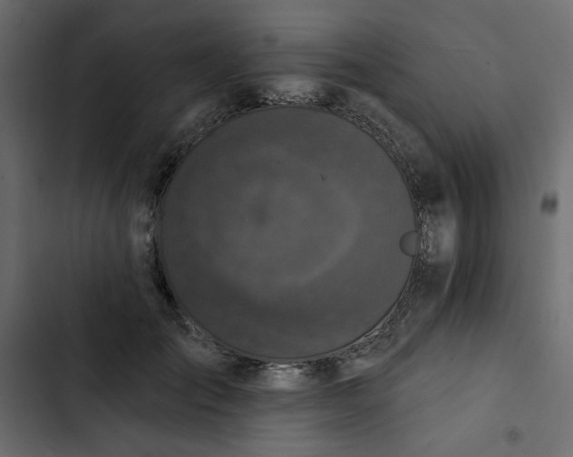 X0000102830701200809021314