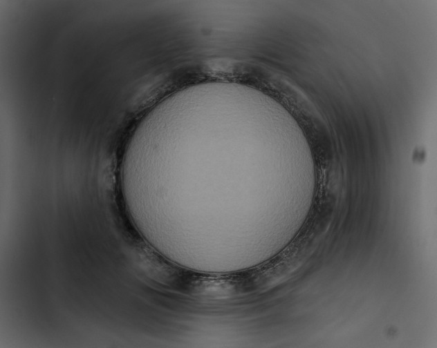 X0000102830702200809021314