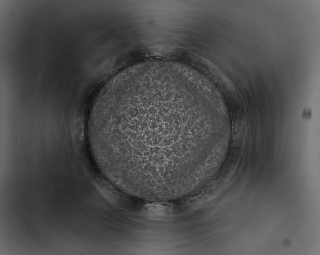 X0000102830703200809021314