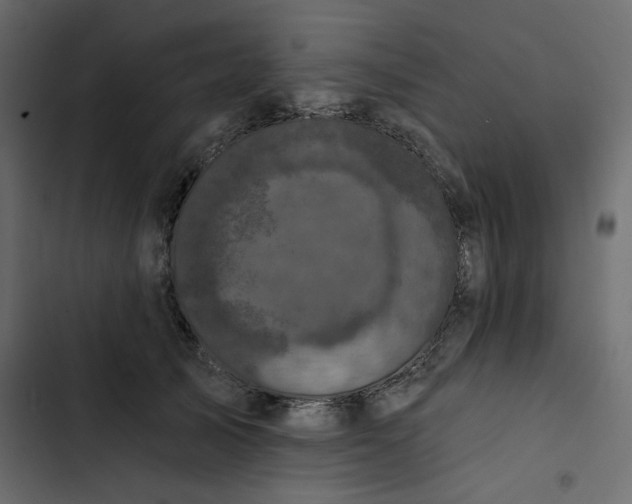 X0000102830705200809021314