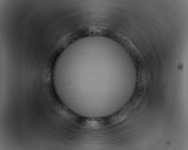 X0000102830706200809021314