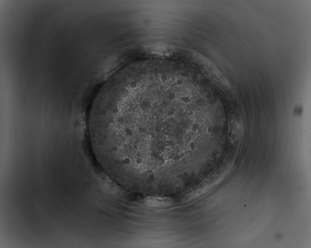 X0000102830707200809021314