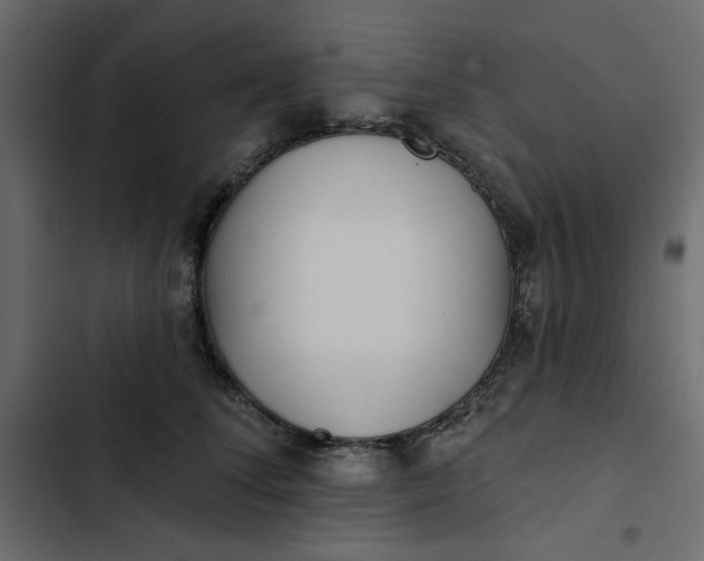 X0000102830708200809021314