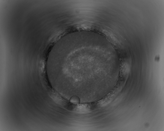 X0000102830709200809021314