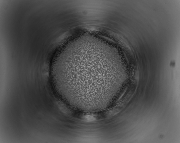 X0000102830710200809021313