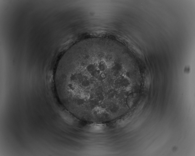 X0000102830711200809021313