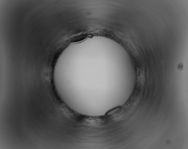 X0000102830712200809021313