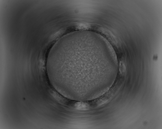 X0000102830714200809021313