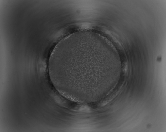 X0000102830715200809021313