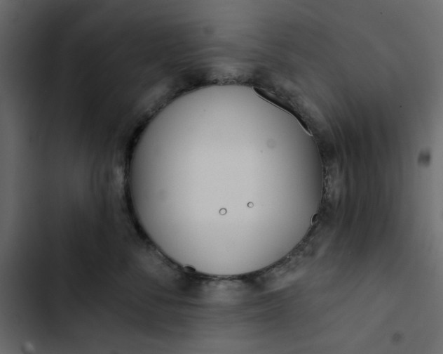 X0000102830716200809021313