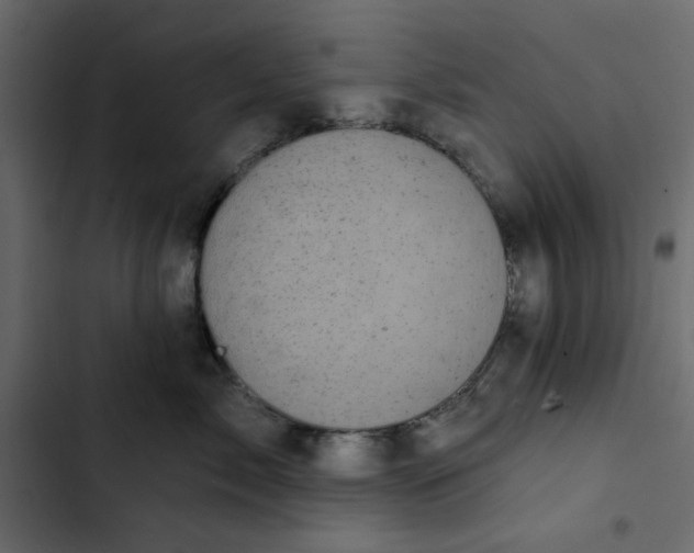 X0000102830717200809021313