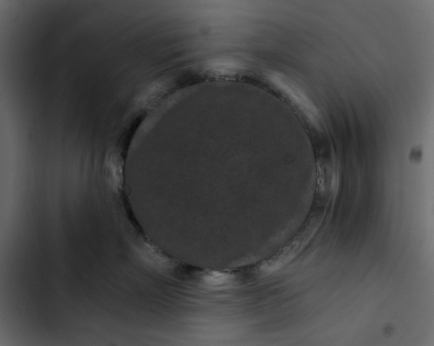 X0000102830718200809021313