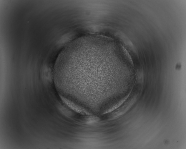 X0000102830719200809021313