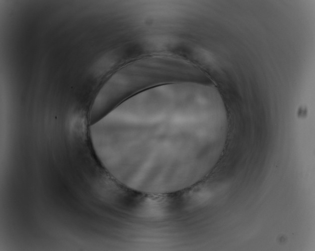 X0000102830720200809021313