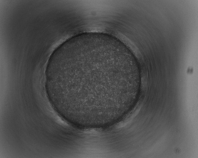 X0000102830721200809021313