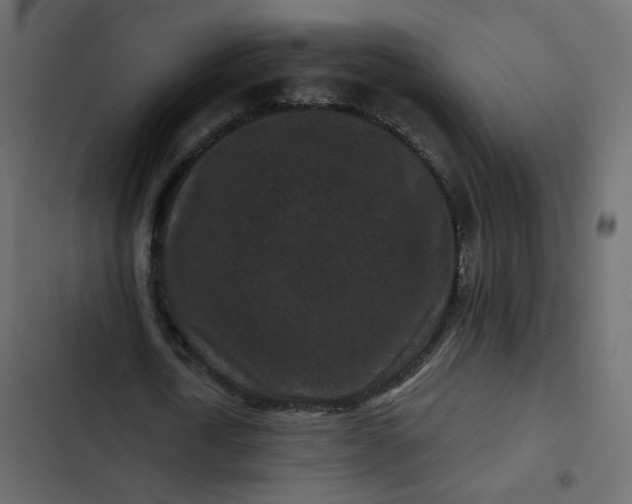 X0000102830722200809021313