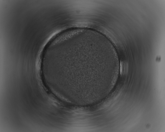 X0000102830723200809021313