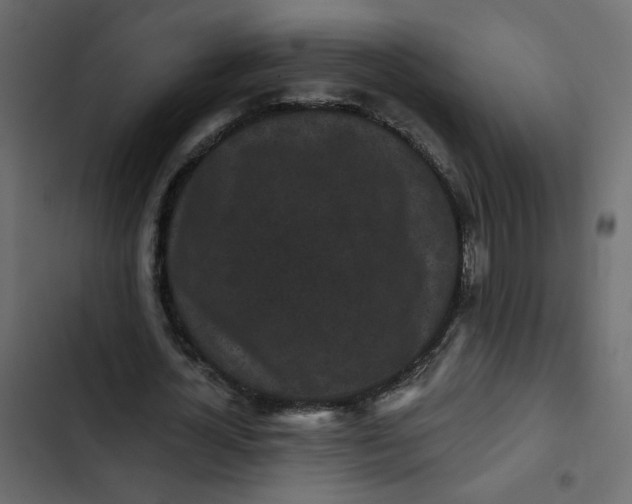 X0000102830724200809021313