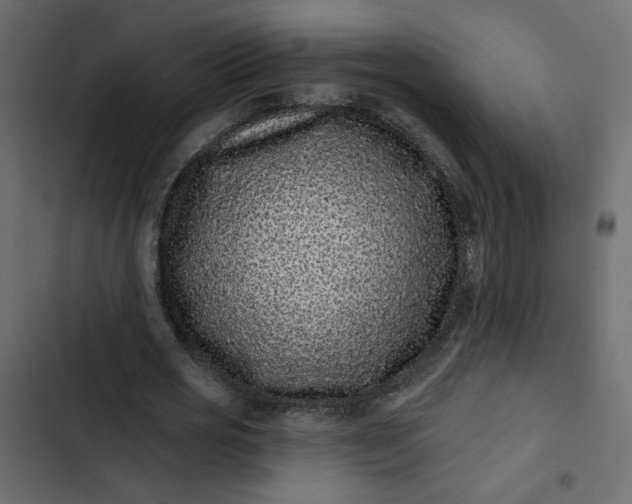 X0000102830725200809021313