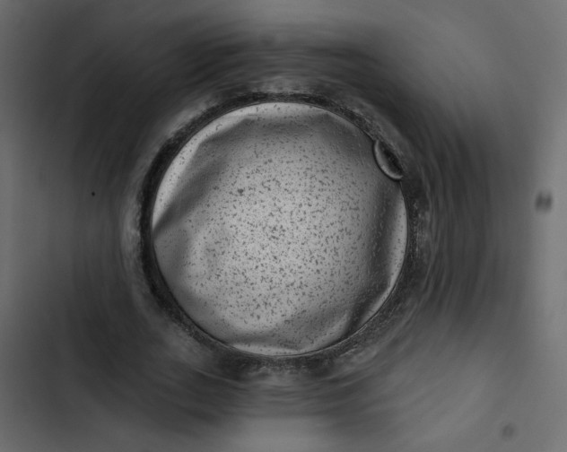 X0000102830727200809021313