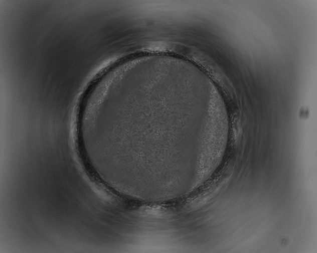 X0000102830728200809021313