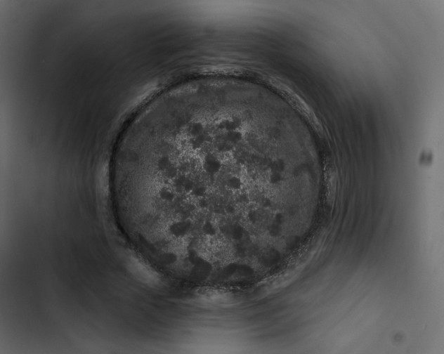 X0000102830729200809021313