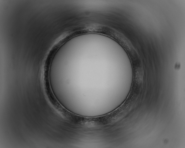 X0000102830730200809021313