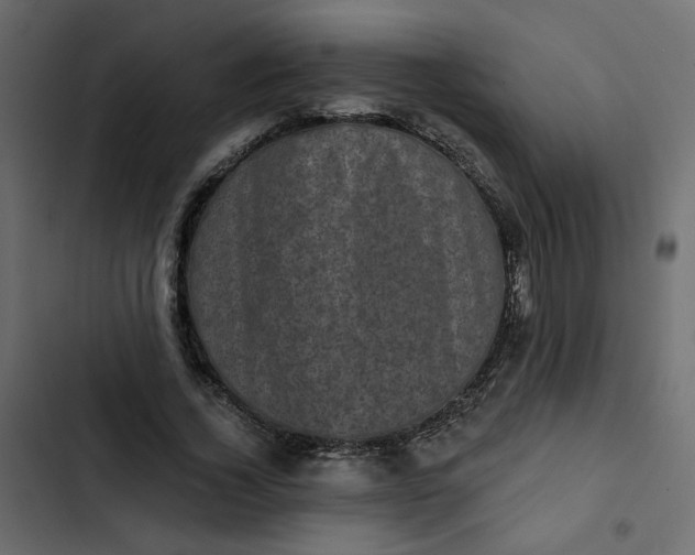 X0000102830732200809021313