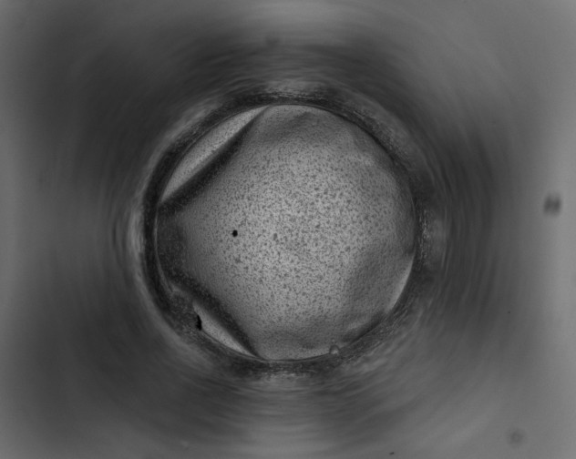 X0000102830734200809021313