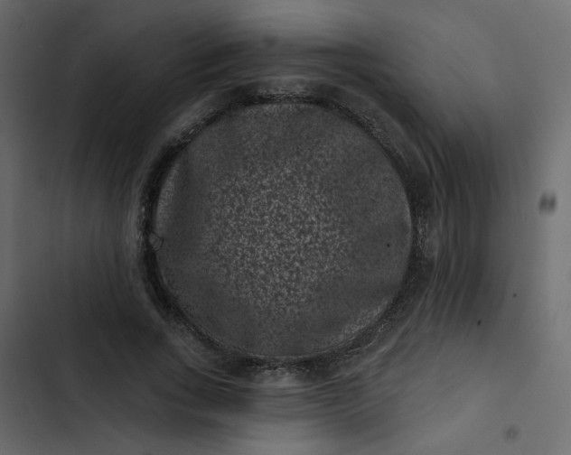 X0000102830735200809021313