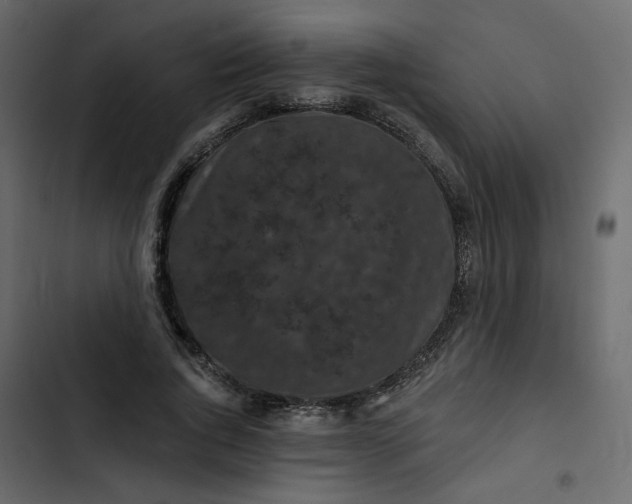 X0000102830736200809021313