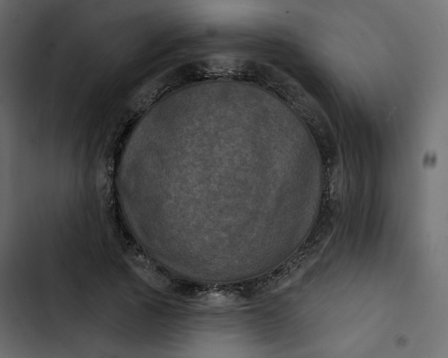 X0000102830737200809021313