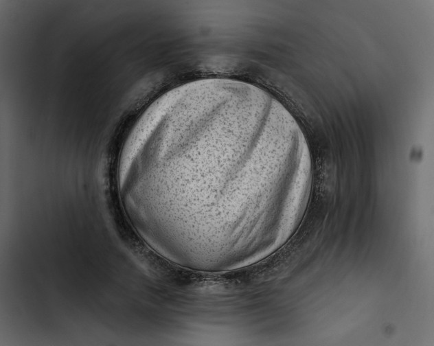 X0000102830738200809021313