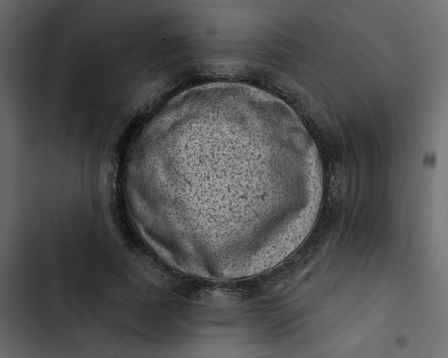 X0000102830739200809021313