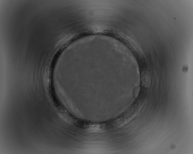 X0000102830740200809021313