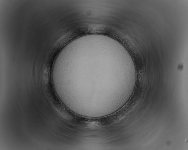 X0000102830741200809021313