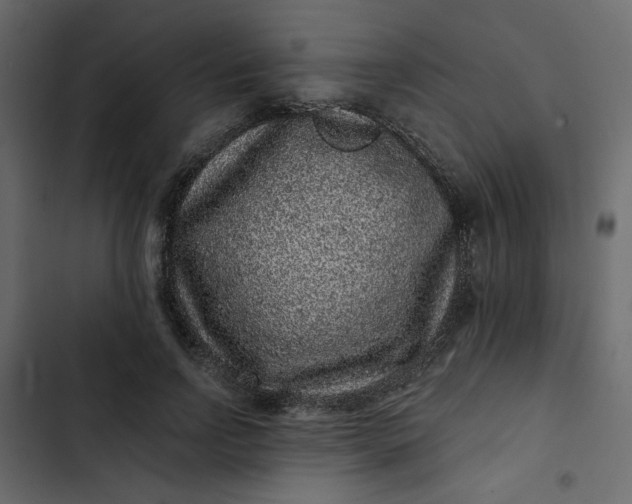 X0000102830742200809021313