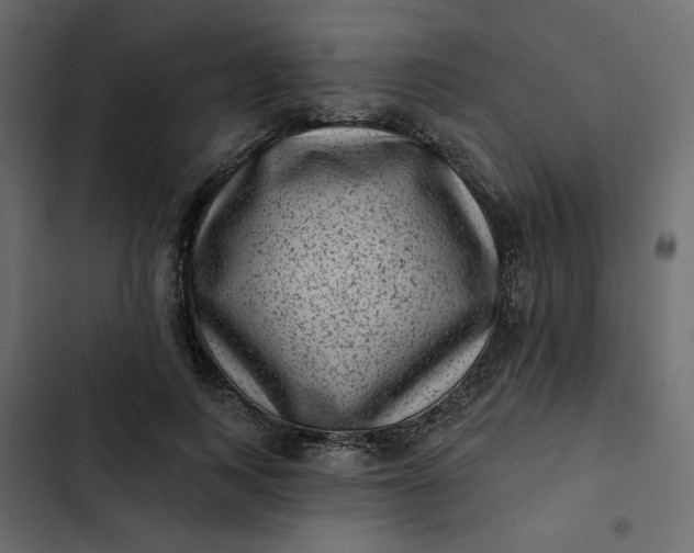 X0000102830743200809021313